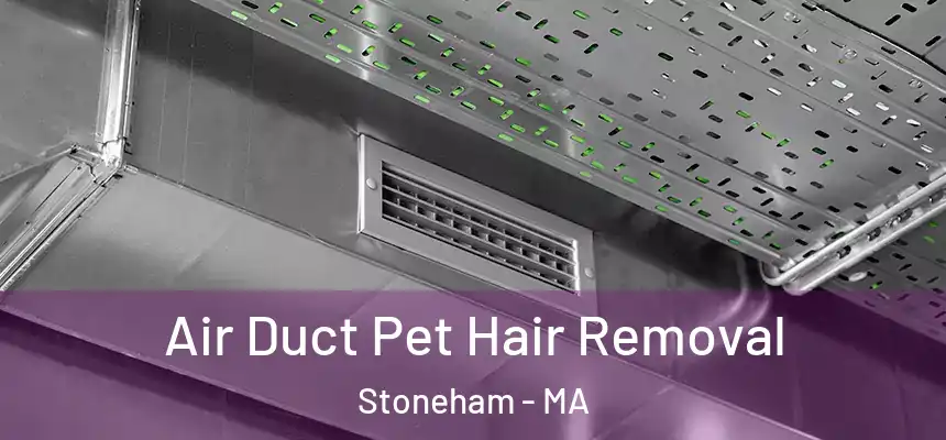 Air Duct Pet Hair Removal Stoneham - MA