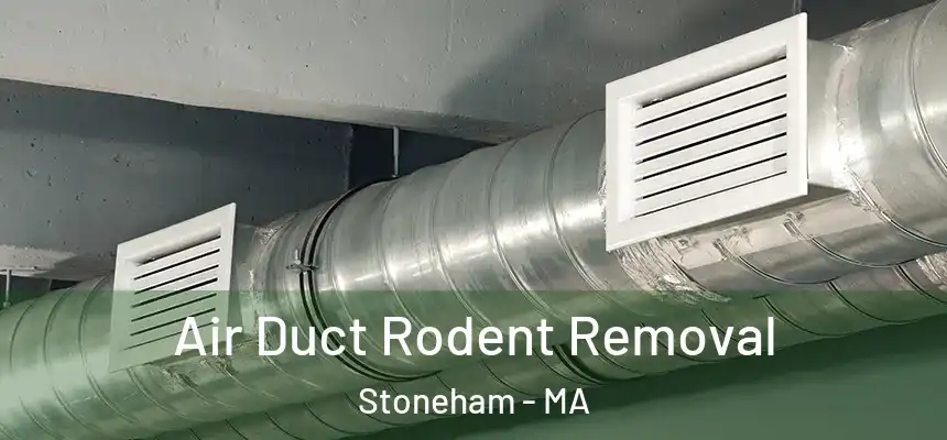  Air Duct Rodent Removal Stoneham - MA