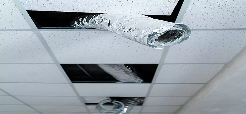 Our Air Duct Pet Hair Removal Services in Stoneham, MA