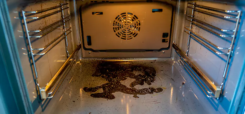 Our Dryer Vent Mold Cleaning Services in Stoneham, MA