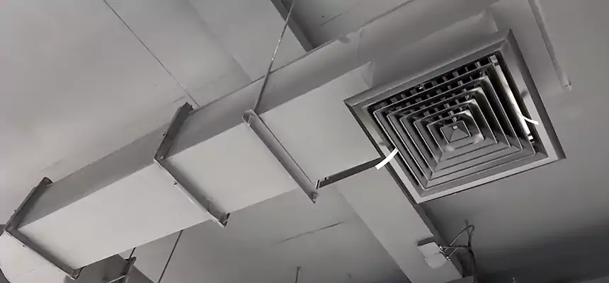 Our Pest Removal From Ducts Services in Stoneham, MA