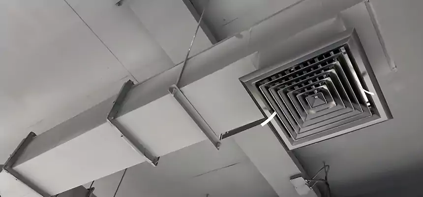 Our Rodent Droppings In Vents Services in Stoneham, MA