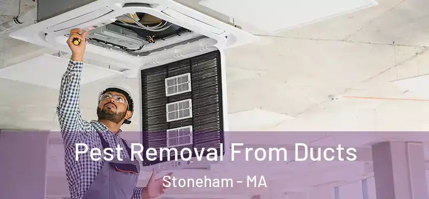  Pest Removal From Ducts Stoneham - MA
