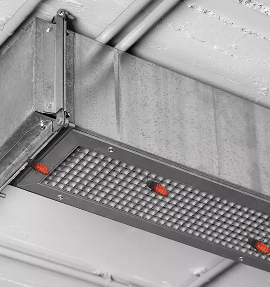 Affordable Insect Removal from Air Ducts in Stoneham, MA