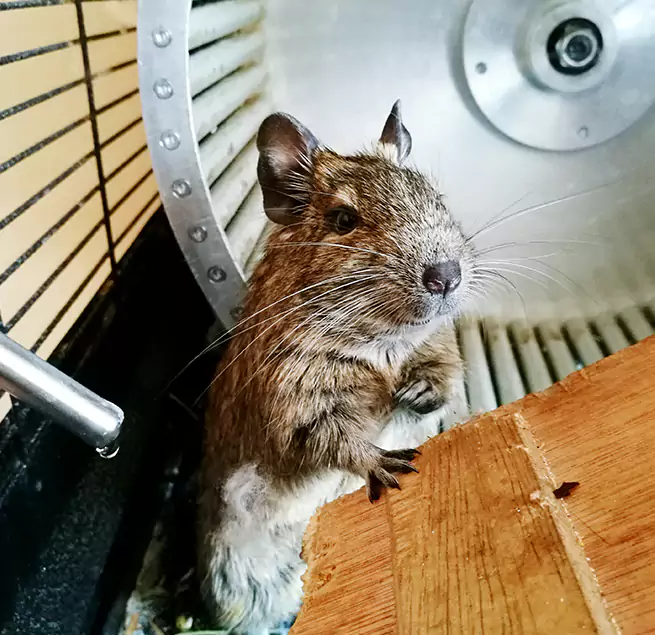 Why Homeowners & Businesses Trust Us Stoneham, MA?